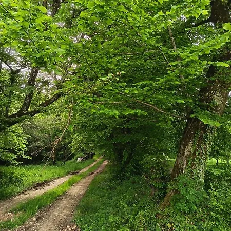 La Garenne Дом отдыха Saint-Pierre-de-Cole